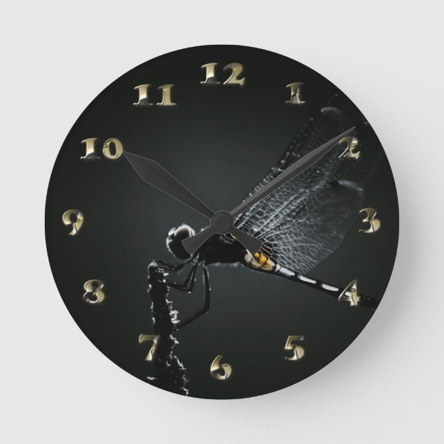Horloge Ronde Insecte - Ailes de libellules (Recto)