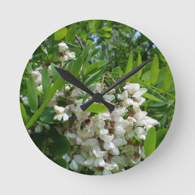 Horloge Ronde Insurrection d'arbre blanc de Robinia (Recto)