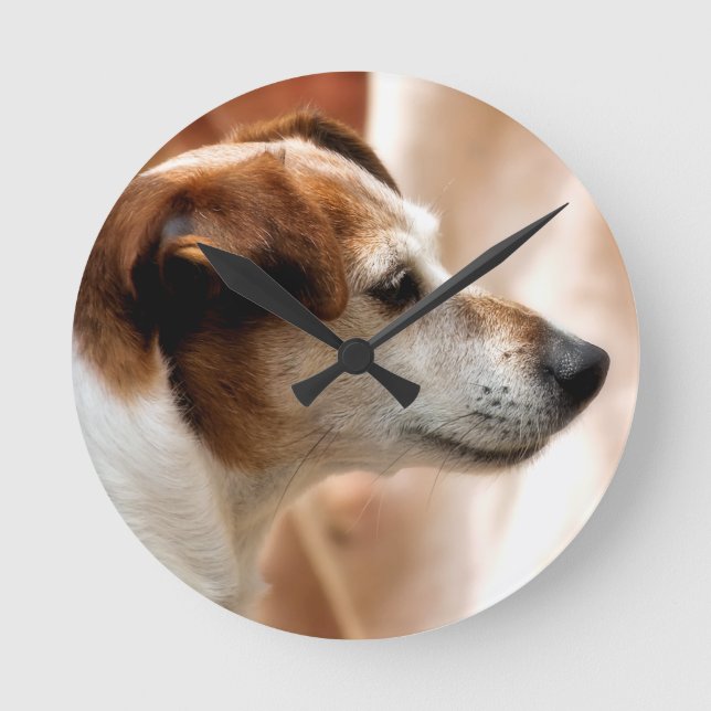 HORLOGE RONDE JACK RUSSELL TERRIER CHIEN (Recto)
