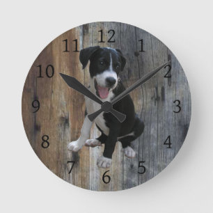 Horloge Ronde Jake Farm Dog with Barnwood Background
