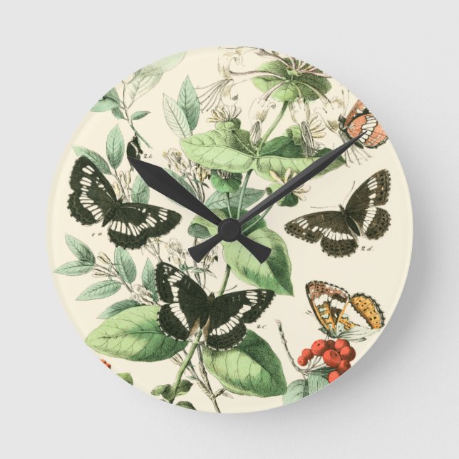 Horloge Ronde Jardin des papillons et des fleurs (Recto)