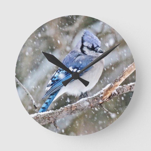 Horloge Ronde Jay bleu dans une tempête de neige (Recto)