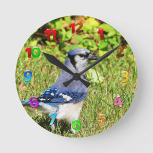 Horloge Ronde Jay bleu du nord