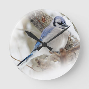 Horloge Ronde Jay bleu en hiver