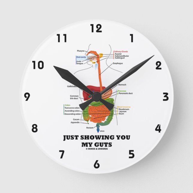 Horloge Ronde Je Vous Montre Mes Aiguilles (Humour Système Diges (Recto)