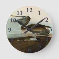 John James Audubon Peinture Pélicane Brown
