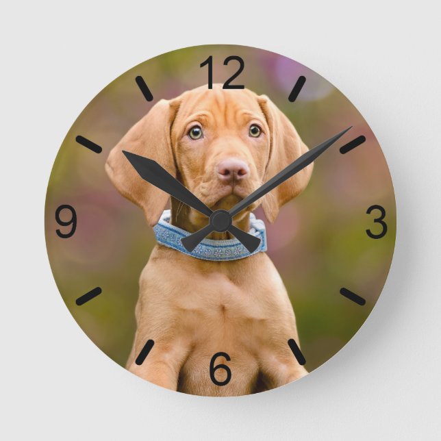 Horloge Ronde Joli chiot hongrois Vizsla Chien Chien Photo - (Recto)