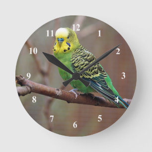 Horloge Ronde Jolie Perruque verte