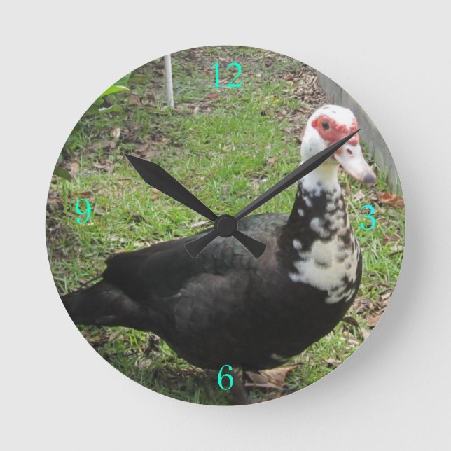 Horloge Ronde Just a Qwack à Time (Recto)