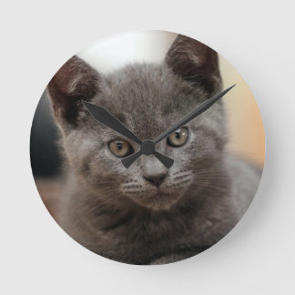 Horloge Ronde Kitten bleu russe