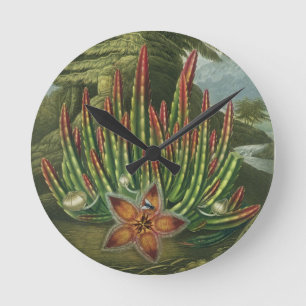 Horloge Ronde La stapélie portante, gravée par Stadler,