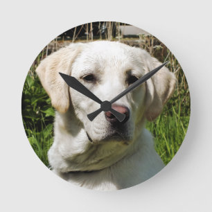 HORLOGE RONDE LABRADOR DOG