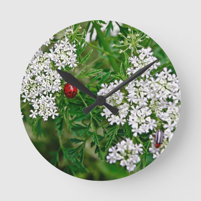 Horloge Ronde Ladybug (Recto)