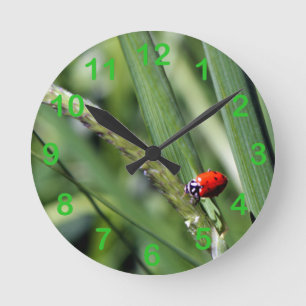 Horloge Ronde Ladybug (Coccinellidae)