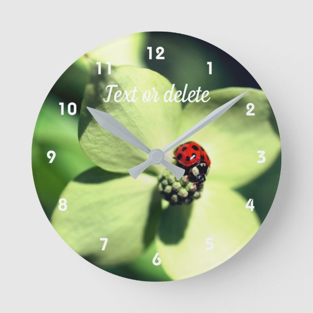 Horloge Ronde Ladybug Sur Fleur De Dogwood Blanc Personnalisé (Recto)