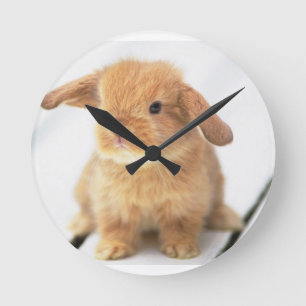 Horloge Ronde Lapin Lapin