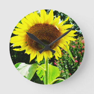 Horloge Ronde Large yellow Sunflower