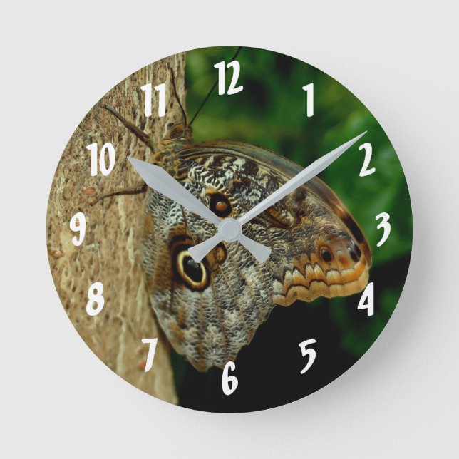 Horloge Ronde L'art animal du papillon de la Chouette Brown (Recto)