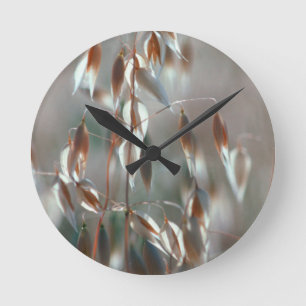 Horloge Ronde L'avoine mûre (Avena Sativa) Ferme. Ceres, Boland