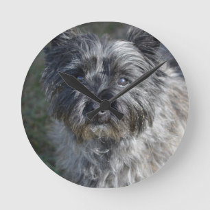 Horloge Ronde Le cairn Terrier font face