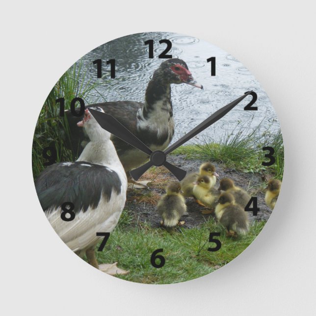 Horloge Ronde Le Clock de Muscovy Ducks (Recto)