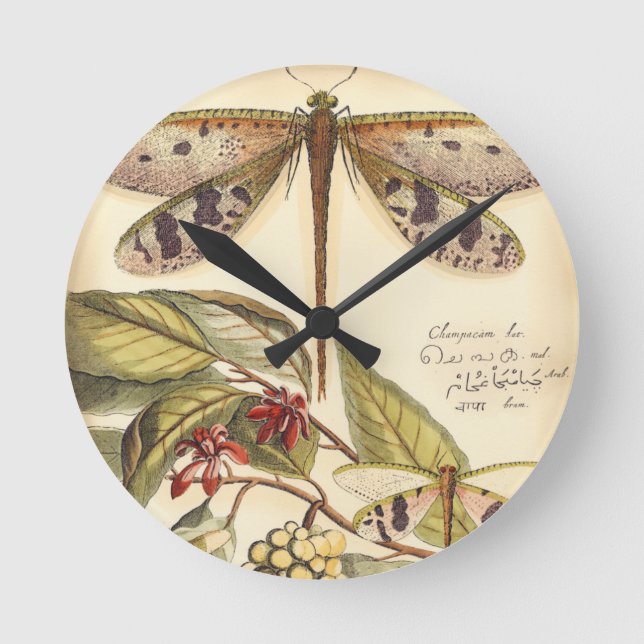 Horloge Ronde Les libellules aux Feuilles et aux fruits (Recto)