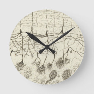 Horloge Ronde Les neurones 8 de Cajal