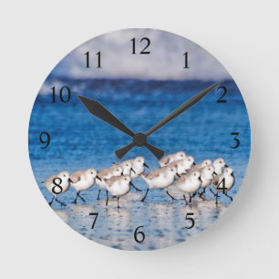 Horloge Ronde Les oiseaux de plage au bord de l'océan