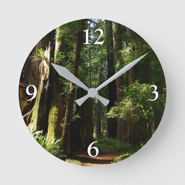 Horloge Ronde Les séquoias et les fougères du parc national Redw (Recto)