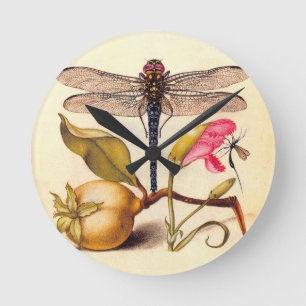 Horloge Ronde Libellule Botanique Nature Faune Hoefnagel Art