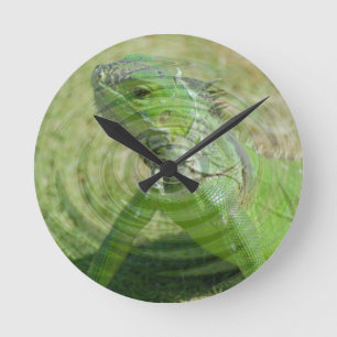 Horloge Ronde L'Iguana verte