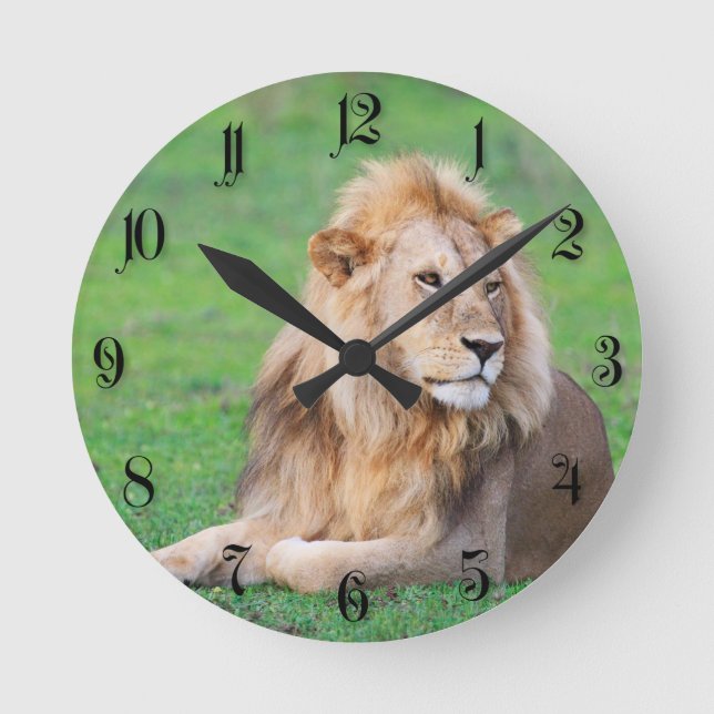 Horloge Ronde Lion (Recto)