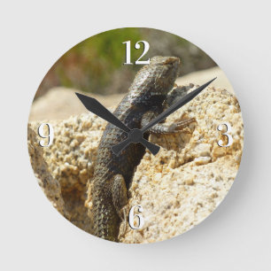 Horloge Ronde Lizard d'épinette à dos jaune à Joshua Tree