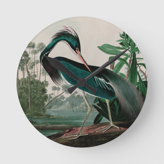 Horloge Ronde Louisiane Heron Birds of America Audubon Print (Recto)