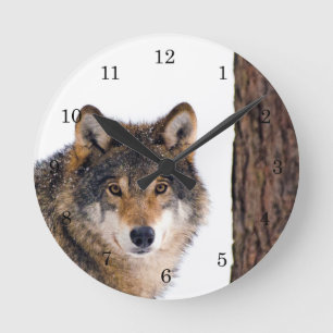 Horloge Ronde Loup en hiver