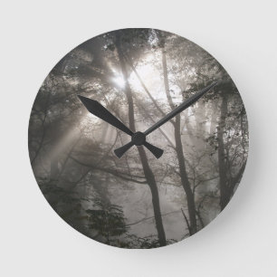 Horloge Ronde Lumière Solaire À Travers Les Arbres Bois Sombre
