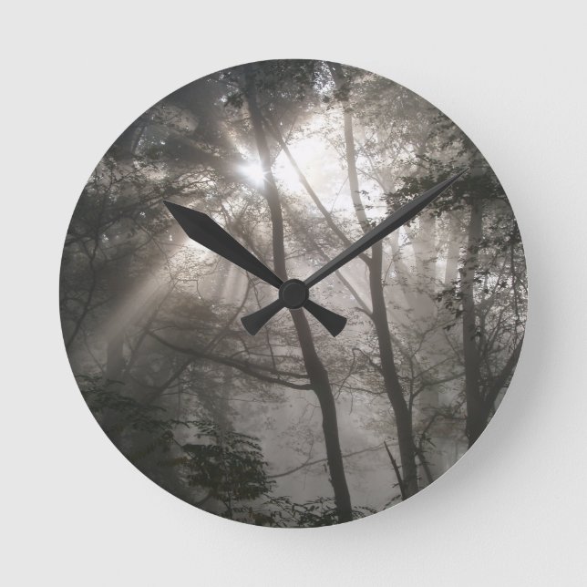 Horloge Ronde Lumière Solaire À Travers Les Arbres Bois Sombre (Recto)