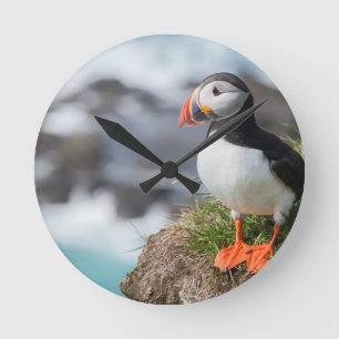 Horloge Ronde Macareux