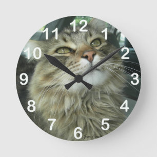 Horloge Ronde Maine Coon kitty
