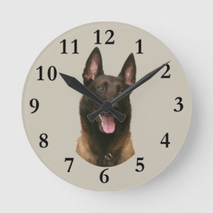 Horloge Ronde malinois belge