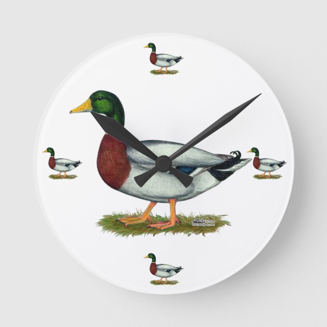 Horloge Ronde Mallard Duck Drake (Recto)