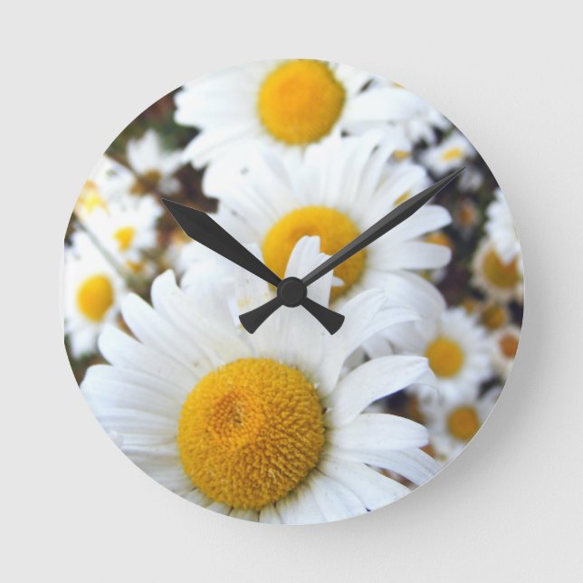 Horloge Ronde Marguerites (Recto)