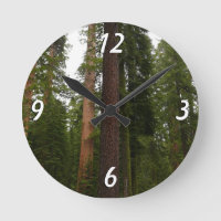 Mariposa Grove dans le parc national de Yosemite