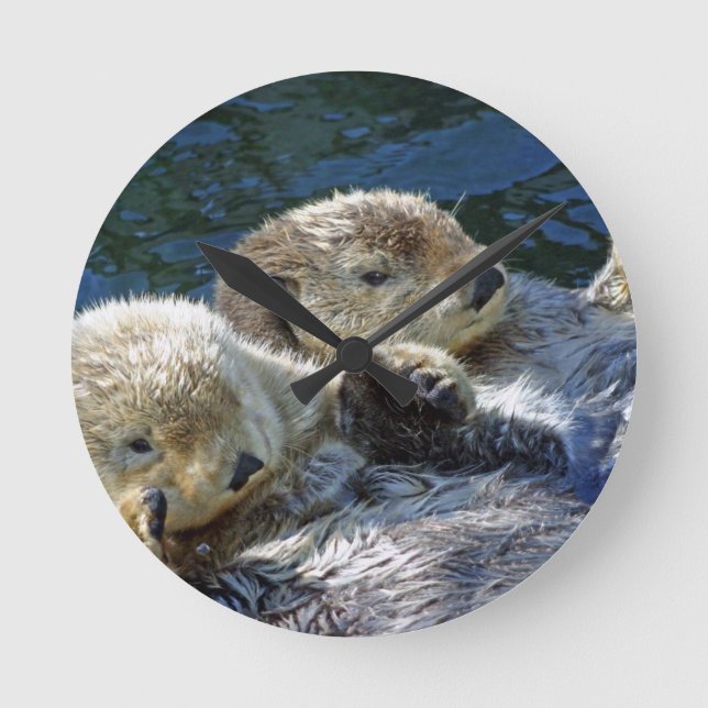 Horloge Ronde Mer-loutres (Recto)