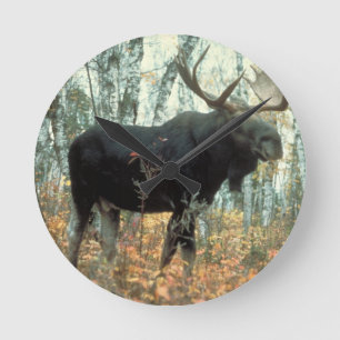 Horloge Ronde Moose Forest Trees Parc Animal Wildlife Art