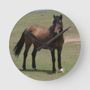 Horloge Ronde Nacoma Mustang