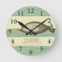 Narwhal Antique Baleine Aquarelle Art scientifique