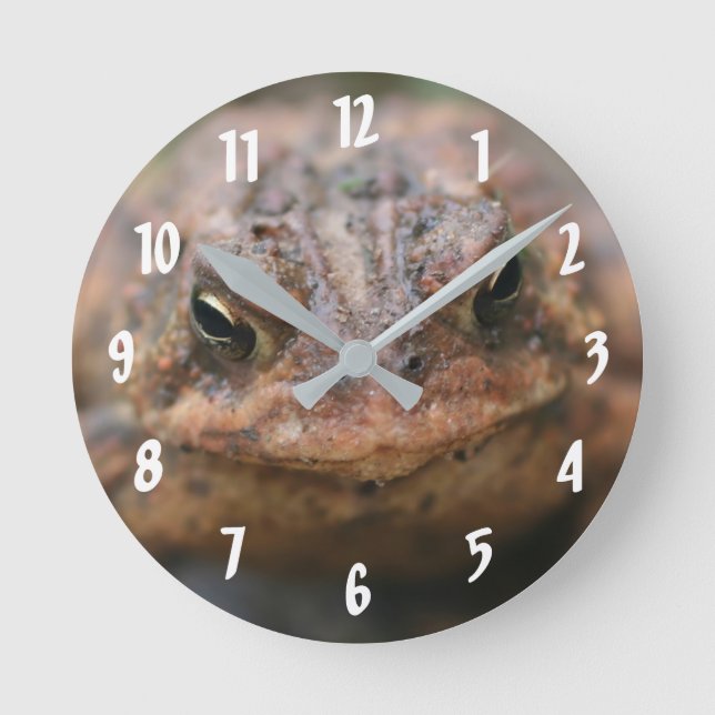 Horloge Ronde Nature du visage mignon de crapaud (Recto)