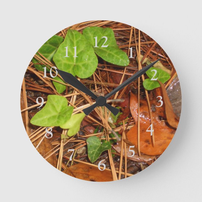 Horloge Ronde Nature Forêt Plancher Anglais Ivy Rainy Feuille Ho (Recto)