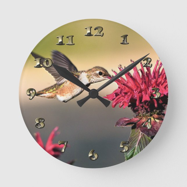 Horloge Ronde Nourriture des fleurs de colibri (Recto)